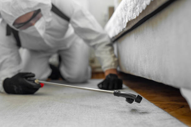 Professional Cockroach Control technician working in Wesleyville, PA